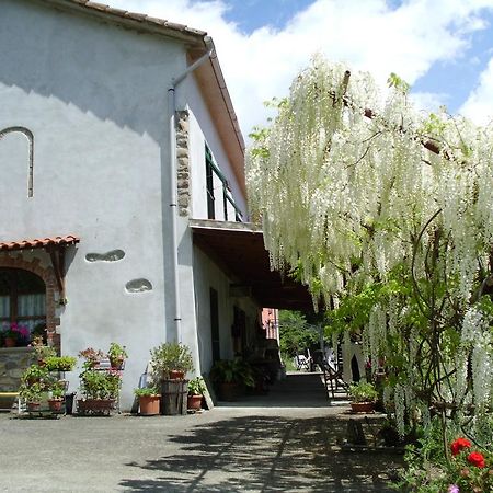 리치아나 나르디 Agriturismo Ca Rossano 빌라 외부 사진