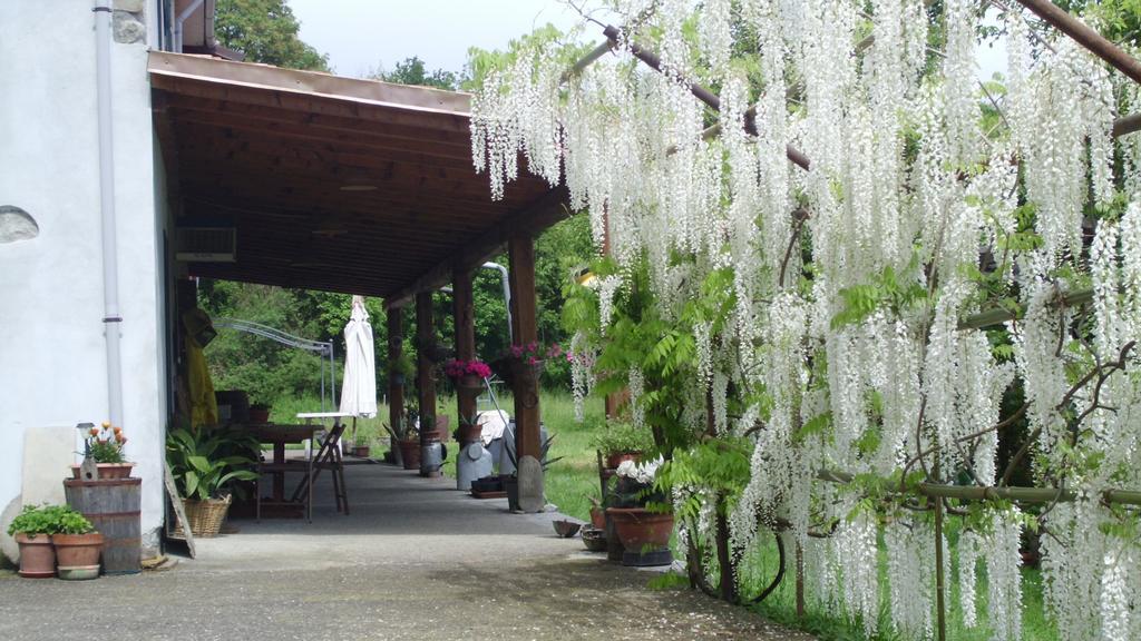 리치아나 나르디 Agriturismo Ca Rossano 빌라 외부 사진