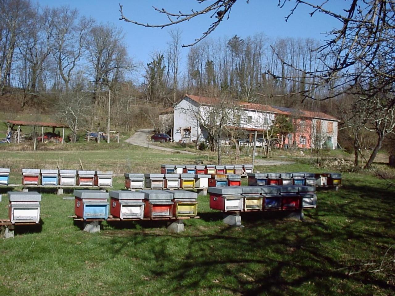 리치아나 나르디 Agriturismo Ca Rossano 빌라 외부 사진